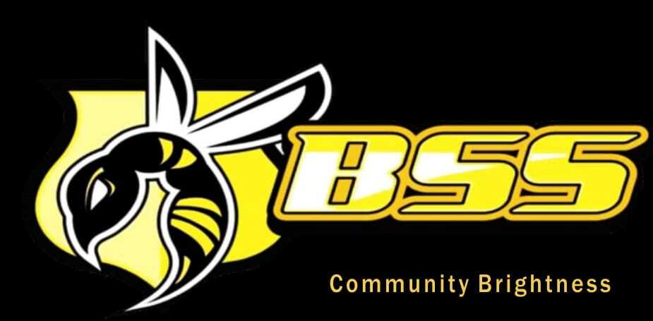 bsssecure.com